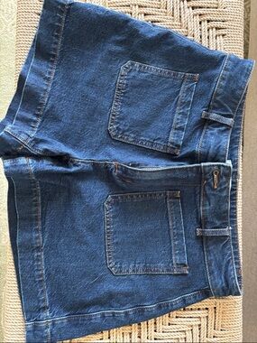 LOFT Dark Blue Denim Jean Shorts